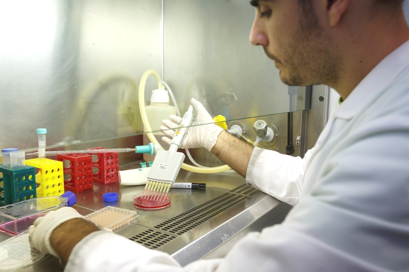 A scientist working at the Experimental Toxicology and Ecotoxicology Platform of the Science Park of Barcelona.